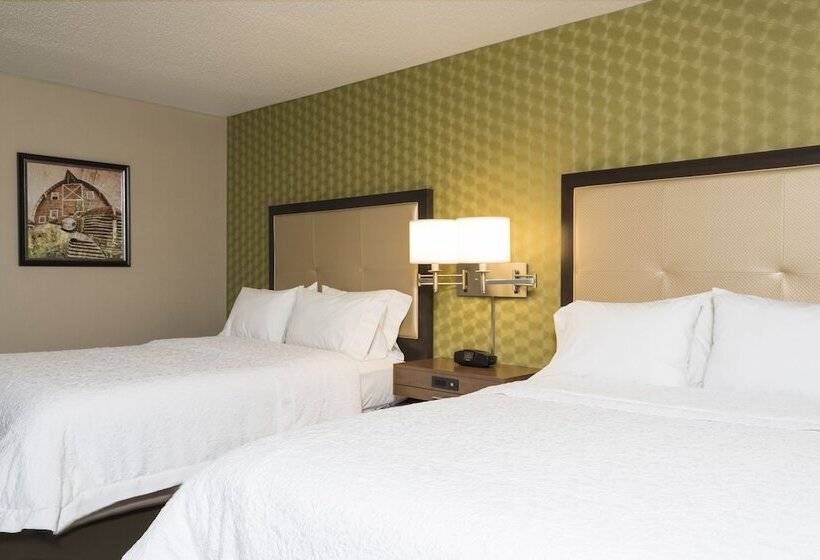 带2个双人床的标准工作室, Hampton Inn Mt. Pleasant