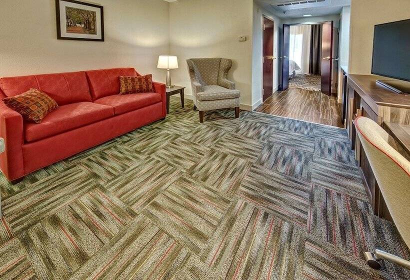 Люкс Адаптированный для Инвалидов, Hampton Inn Newberry Opera House