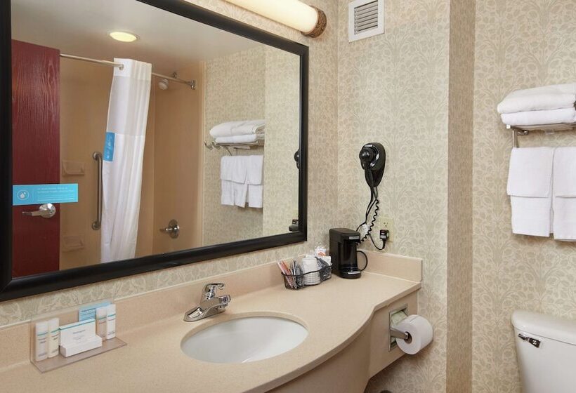 Люкс, Hampton Inn Shrewsbury