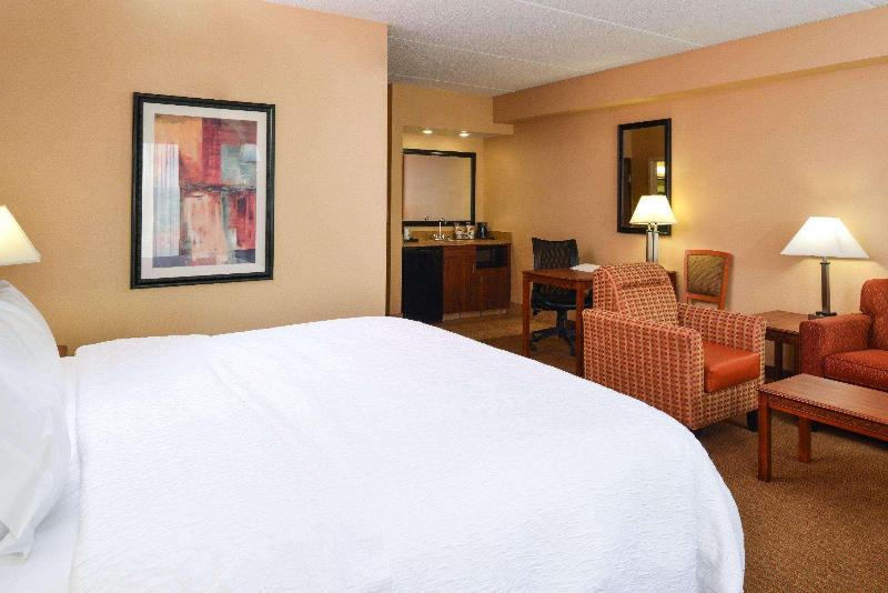Студио Стандарт Кровать Кинг, Hampton Inn & Suites Springboro/dayton Area South
