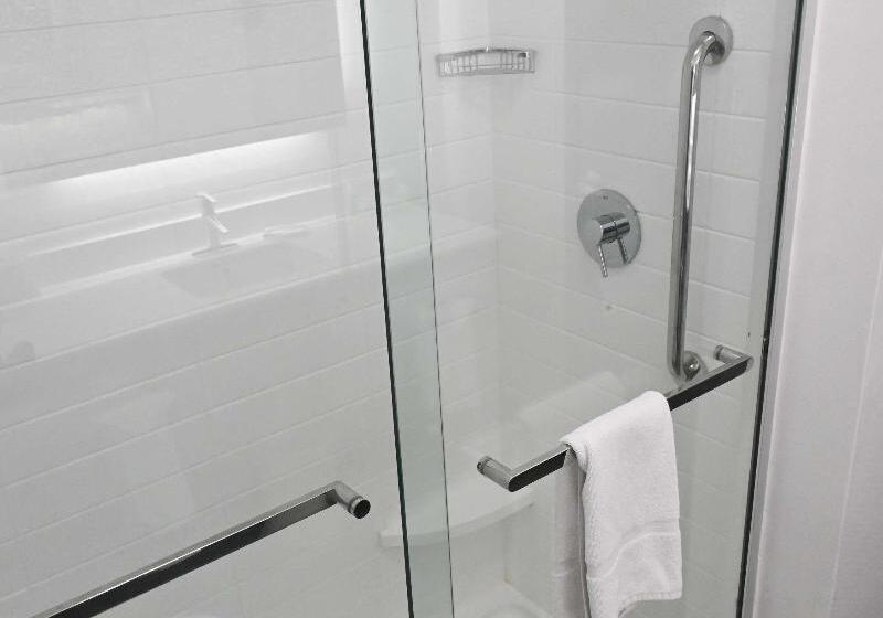 스탠다드 룸 킹사이즈 침대, Hampton Inn Valdosta/lake Park Area