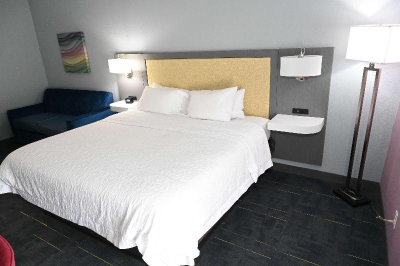 스탠다드 룸 킹사이즈 침대, Hampton Inn Valdosta/lake Park Area