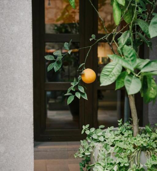 스위트, Apapacho Boutique