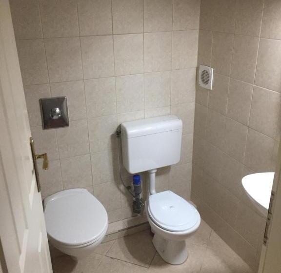 آپارتمان 1 خوابه, Vulkán Wellness Panzió