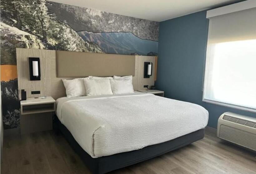 Люкс Кровать Кинг, La Quinta By Wyndham Albuquerque Midtown Newly Renovated