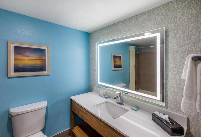 Стандартный Номер Кровать Кинг, La Quinta By Wyndham New Braunfels