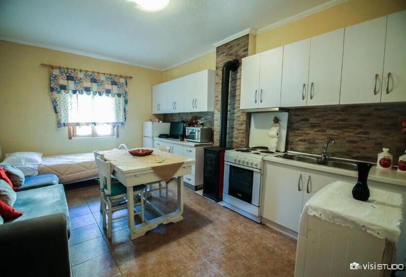 带1个卧室的公寓, Bujtina Leon's Apartments