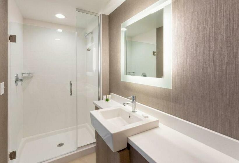 Люкс Кровать Кинг, Springhill Suites Minneapolis Maple Grove/arbor Lakes