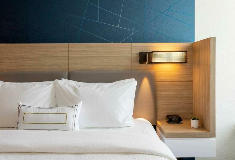 Люкс Кровать Кинг, Springhill Suites Minneapolis Maple Grove/arbor Lakes