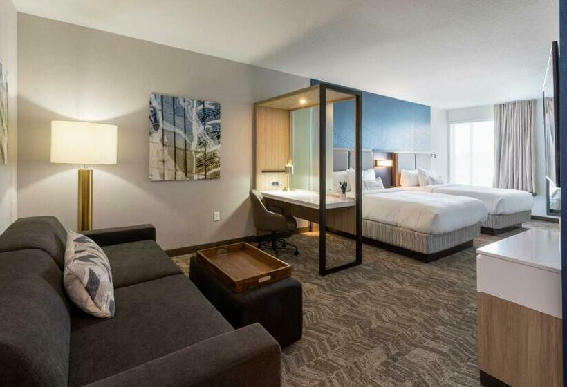 Люкс, Springhill Suites Minneapolis Maple Grove/arbor Lakes