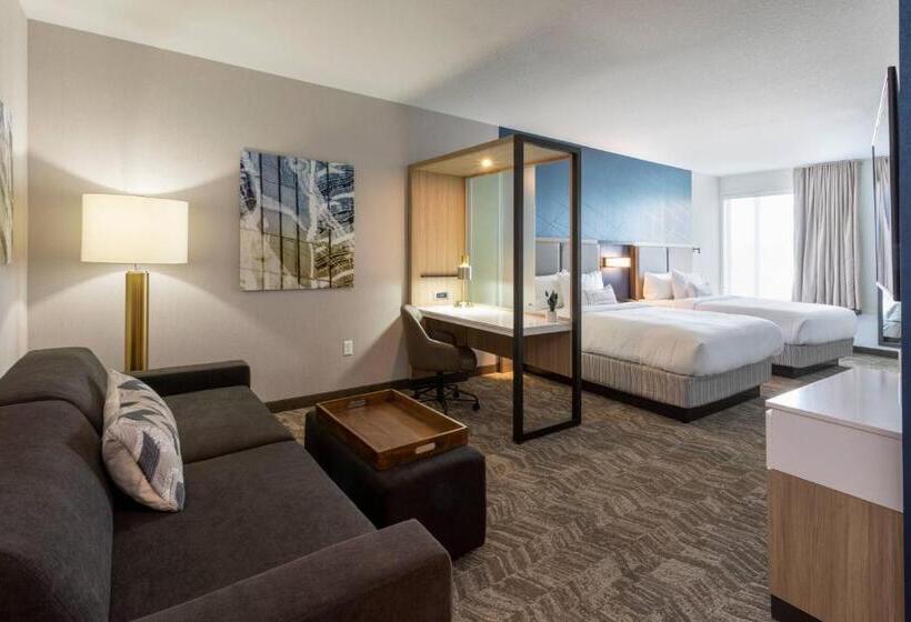 Люкс Адаптированный для Инвалидов, Springhill Suites Minneapolis Maple Grove/arbor Lakes