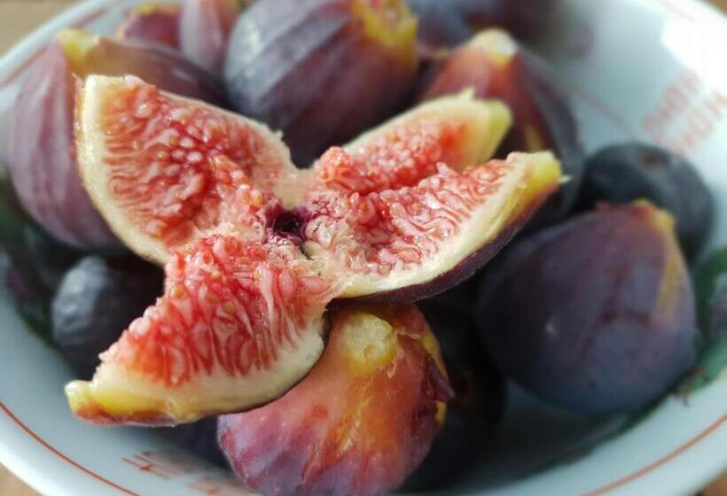 آپارتمان 1 خوابه با چشم‌انداز دریا, Apartment Mint&rose