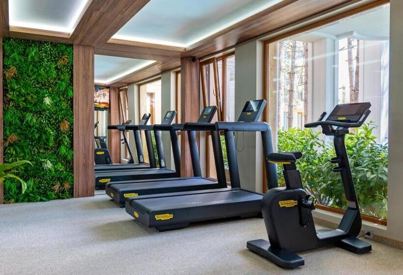 Апартаменты Deluxe 2 Спальни, Harmony Suites Grand Resort