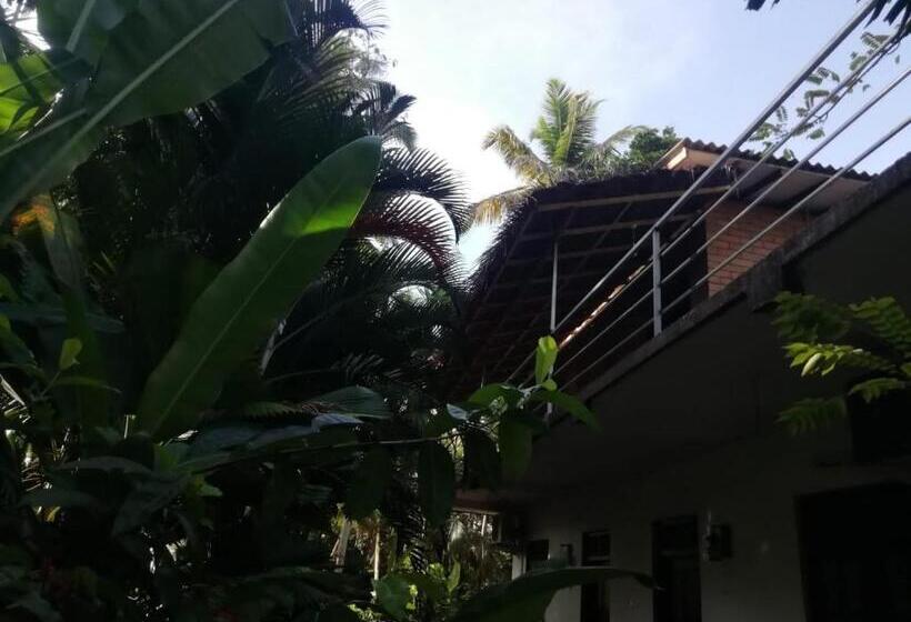 اتاق استاندارد, Jungle Guest ,mirissa