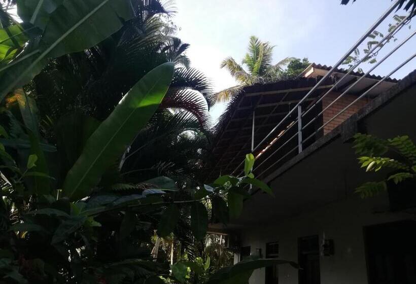 اتاق لوکس خانوادگی, Jungle Guest ,mirissa