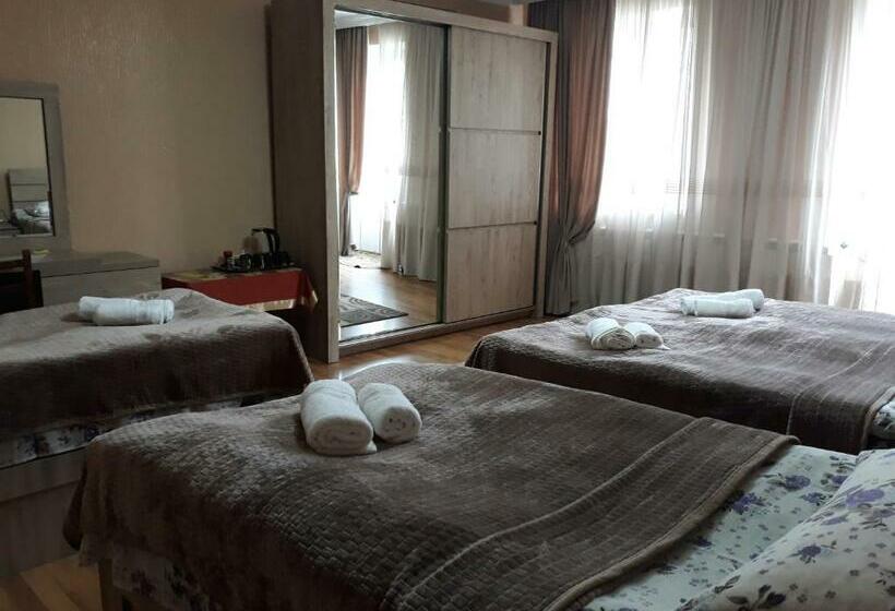 اتاق استاندارد چهارنفره با بالکن, Kazbegi Guide