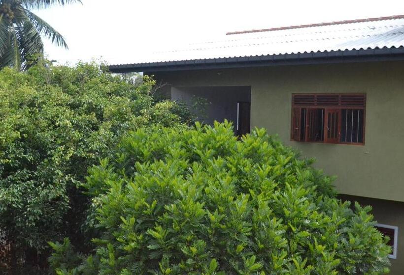 带1个卧室的带阳台的公寓, The Citadel Guest House