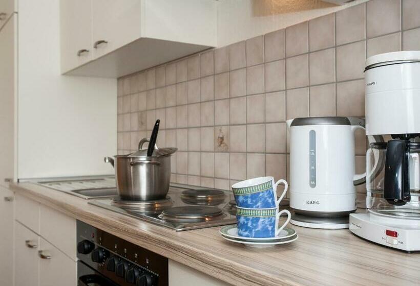 آپارتمان 1 خوابه, Pension Haus Brieden