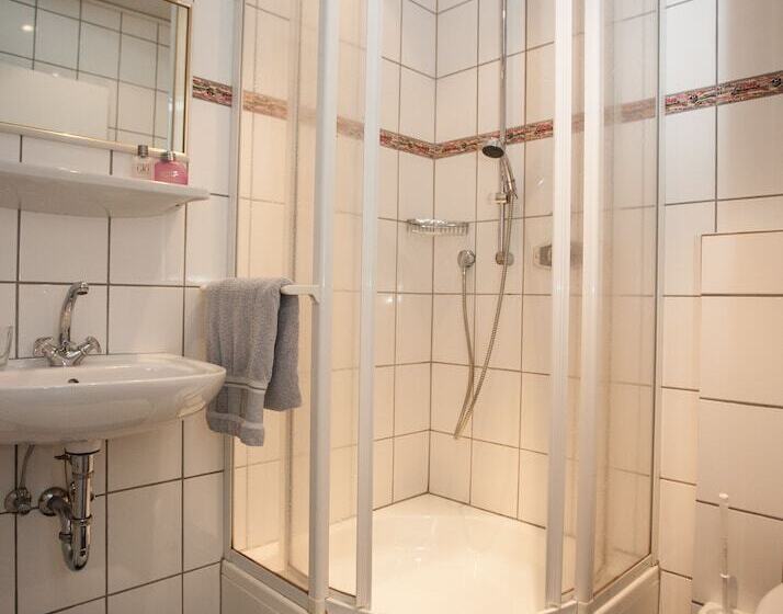 اتاق استاندارد یک نفره, Pension Haus Brieden