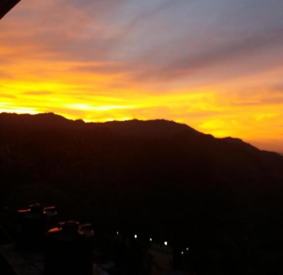 اتاق استاندارد با تخت بزرگ, Heavens Seven