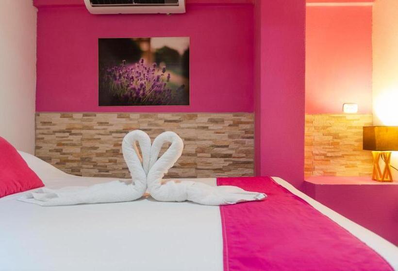اتاق استاندارد, La Dolce Vita   On The Beach   Samara