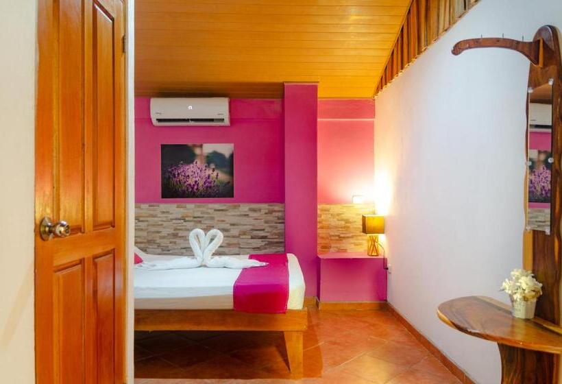 اتاق استاندارد, La Dolce Vita   On The Beach   Samara