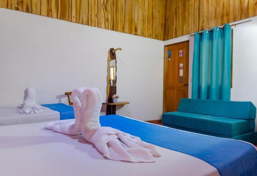 اتاق استاندارد, La Dolce Vita   On The Beach   Samara