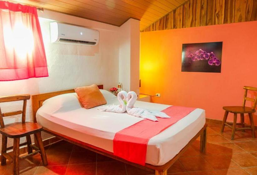 اتاق استاندارد با سرویس بهداشتی مشترک, La Dolce Vita   On The Beach   Samara