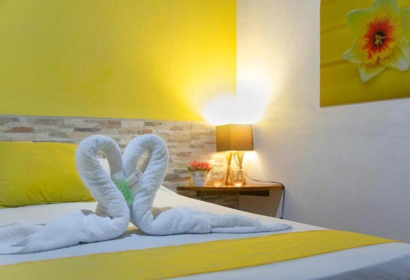 اتاق استاندارد با سرویس بهداشتی مشترک, La Dolce Vita   On The Beach   Samara