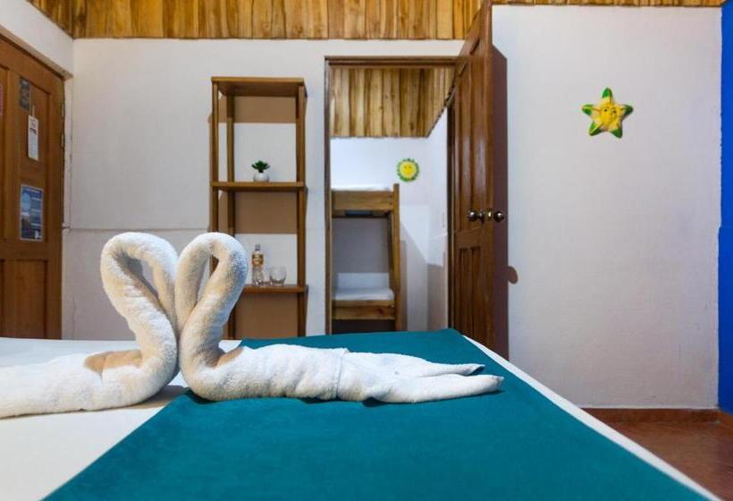 اتاق استاندارد, La Dolce Vita   On The Beach   Samara