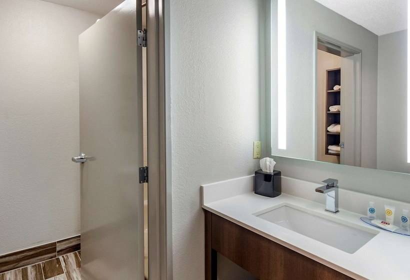 Номер Стандарт 2 Двуспальные Кровати, Comfort Inn & Suites Troutville   Roanoke North   Daleville