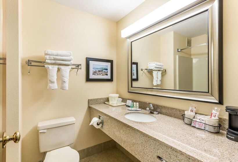 Номер Стандарт 2 Двуспальные Кровати, Quality Inn Huntersville Near Lake Norman