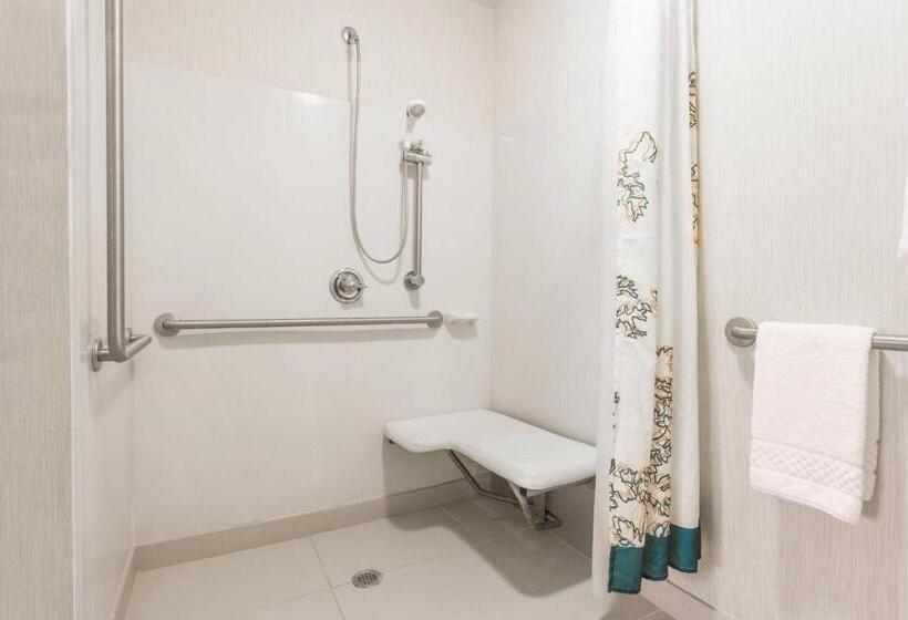 Люкс 2 Спальни, Residence Inn By Marriott Grand Rapids West