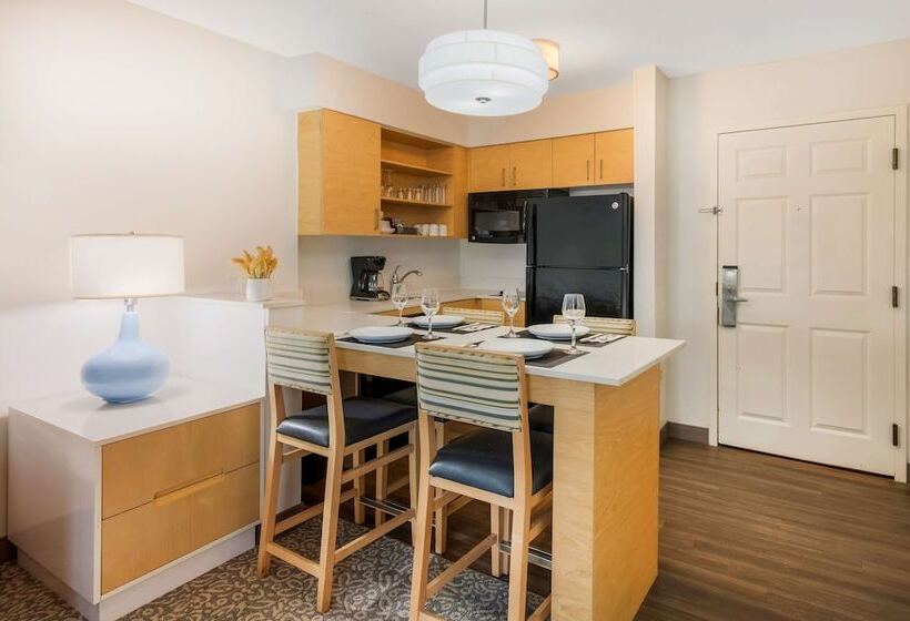 اتاق استاندارد برای معلولان, Sonesta Es Suites Charlotte Arrowood