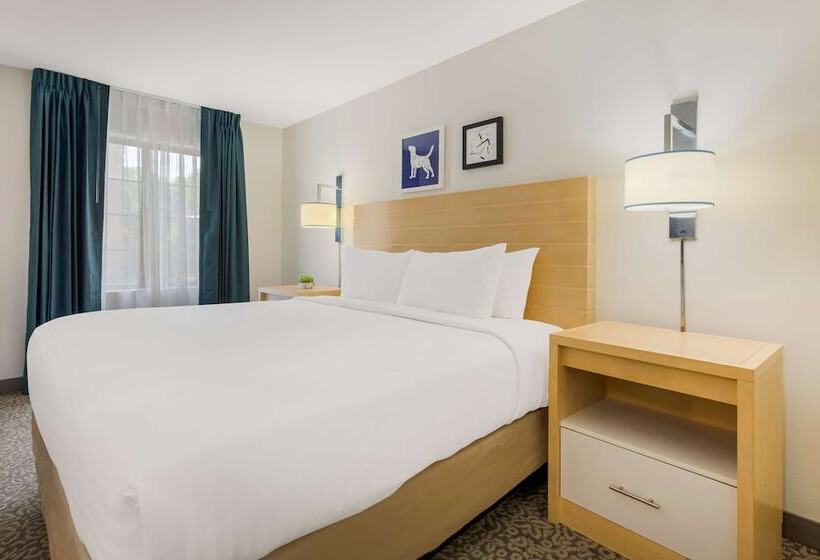 اتاق استاندارد برای معلولان, Sonesta Es Suites Charlotte Arrowood