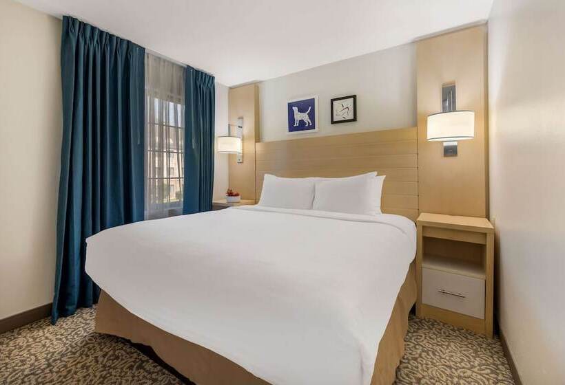 اتاق استاندارد برای معلولان, Sonesta Es Suites Charlotte Arrowood