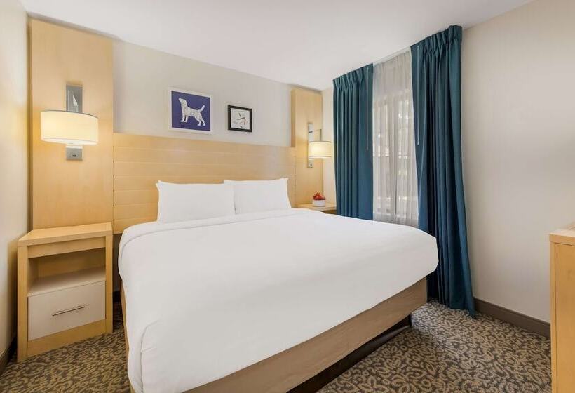 اتاق استاندارد برای معلولان, Sonesta Es Suites Charlotte Arrowood