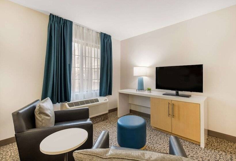 استودیوی استاندارد با تخت دوبل, Sonesta Es Suites Charlotte Arrowood