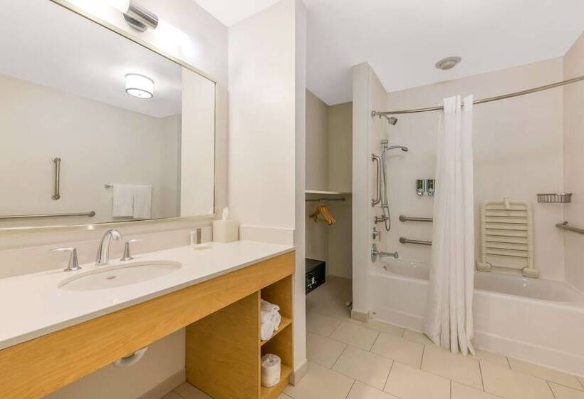 استودیوی استاندارد با تخت دوبل, Sonesta Es Suites Charlotte Arrowood