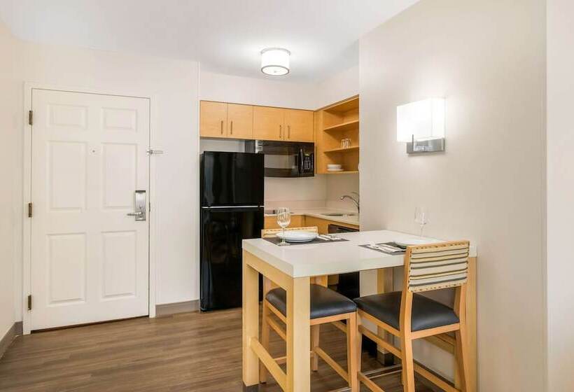 استودیوی استاندارد با تخت دوبل, Sonesta Es Suites Charlotte Arrowood