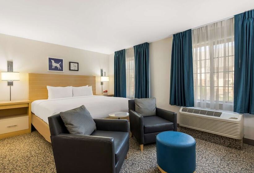 استودیوی استاندارد با تخت دوبل, Sonesta Es Suites Charlotte Arrowood