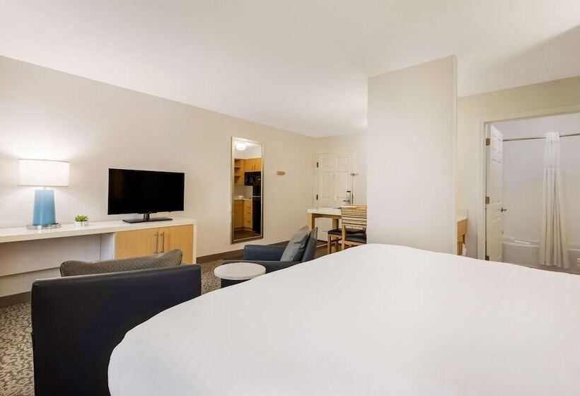استودیوی استاندارد با تخت دوبل, Sonesta Es Suites Charlotte Arrowood