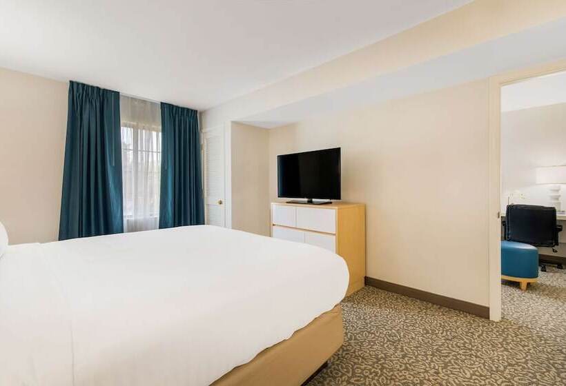 استودیوی استاندارد با تخت دوبل, Sonesta Es Suites Charlotte Arrowood