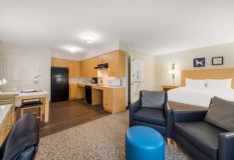 استودیوی استاندارد با تخت دوبل, Sonesta Es Suites Charlotte Arrowood