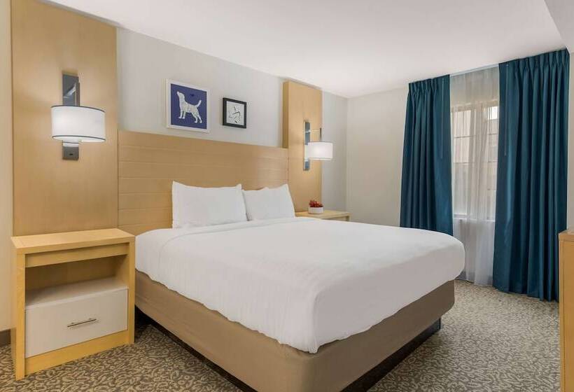 استودیوی استاندارد با تخت دوبل, Sonesta Es Suites Charlotte Arrowood