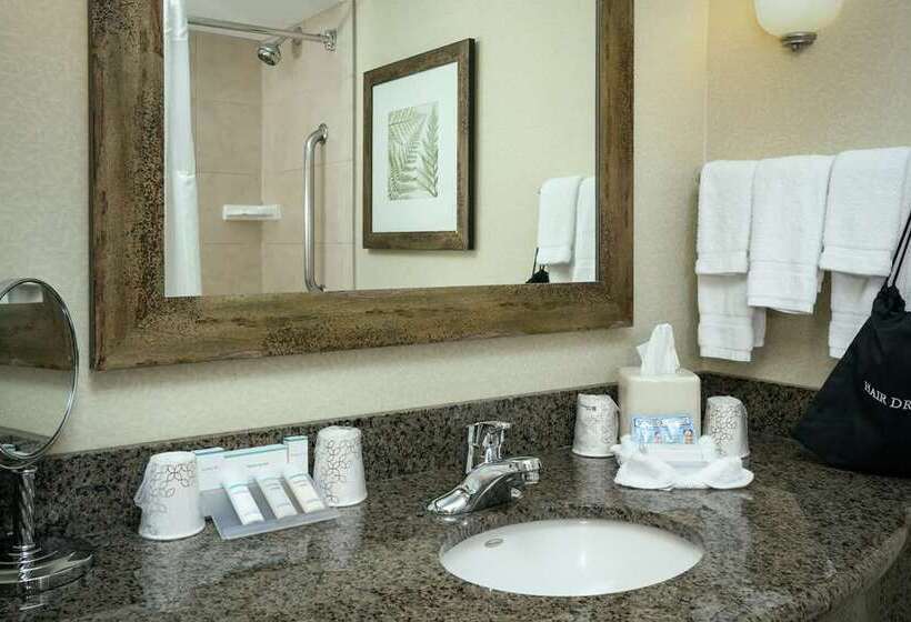 스탠다드 내측 룸, Tommy Bahama Miramonte Resort & Spa