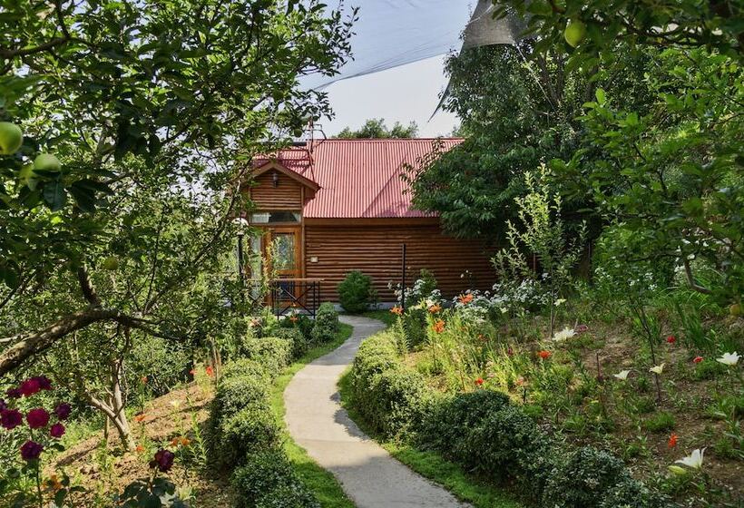 스튜디오 산전망, Banjara Orchard Retreat Thanedar