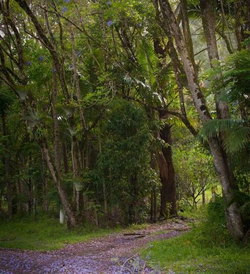 Хижина, Nimbin Waterfall Retreat