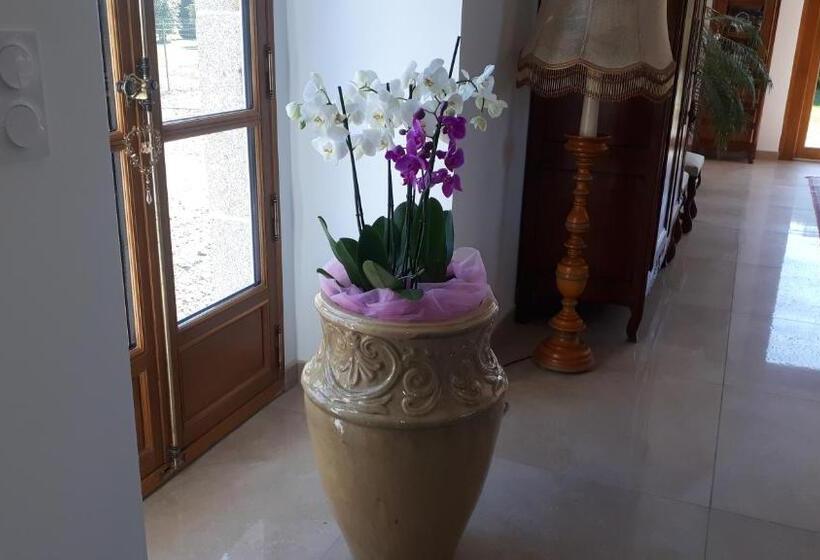 Люкс, Chez Céline