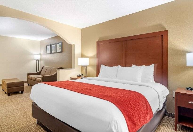 סוויטה, Comfort Inn & Suites Macon North I75